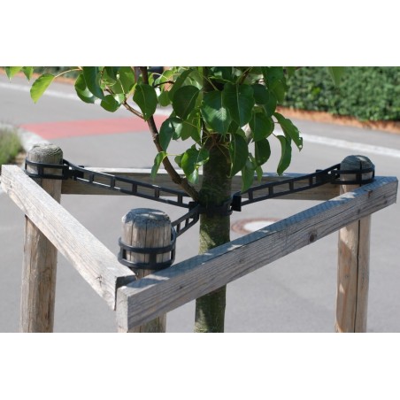 Rema fatörzsrögzítő BAUMBAND  810 mm 50db 1920