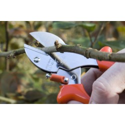 Löwe rávágós metszőolló hajlított nyéllel 5107 ratárról szállítással