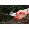 Löwe rávágós metszőolló hajlított nyéllel 5107 ratárról szállítással