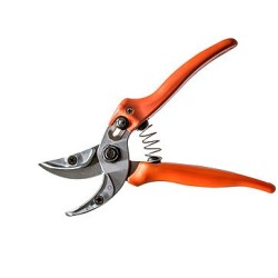 Löwe metszőolló 16.104 Cut & Hold rózsához és virágokhoz ratárról szállítással