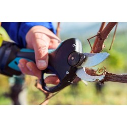 Stark M akkus metszőolló Campagnola, akkus körmöző olló + 2db akku