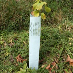 Törzsvédő, növekedési henger WitaHüll ECO 60cm Ø12cm 50db
