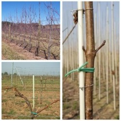 Üvegszálas karó, üvegszálkaró 6x1100