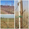Üvegszálas karó, üvegszálkaró 6x1100